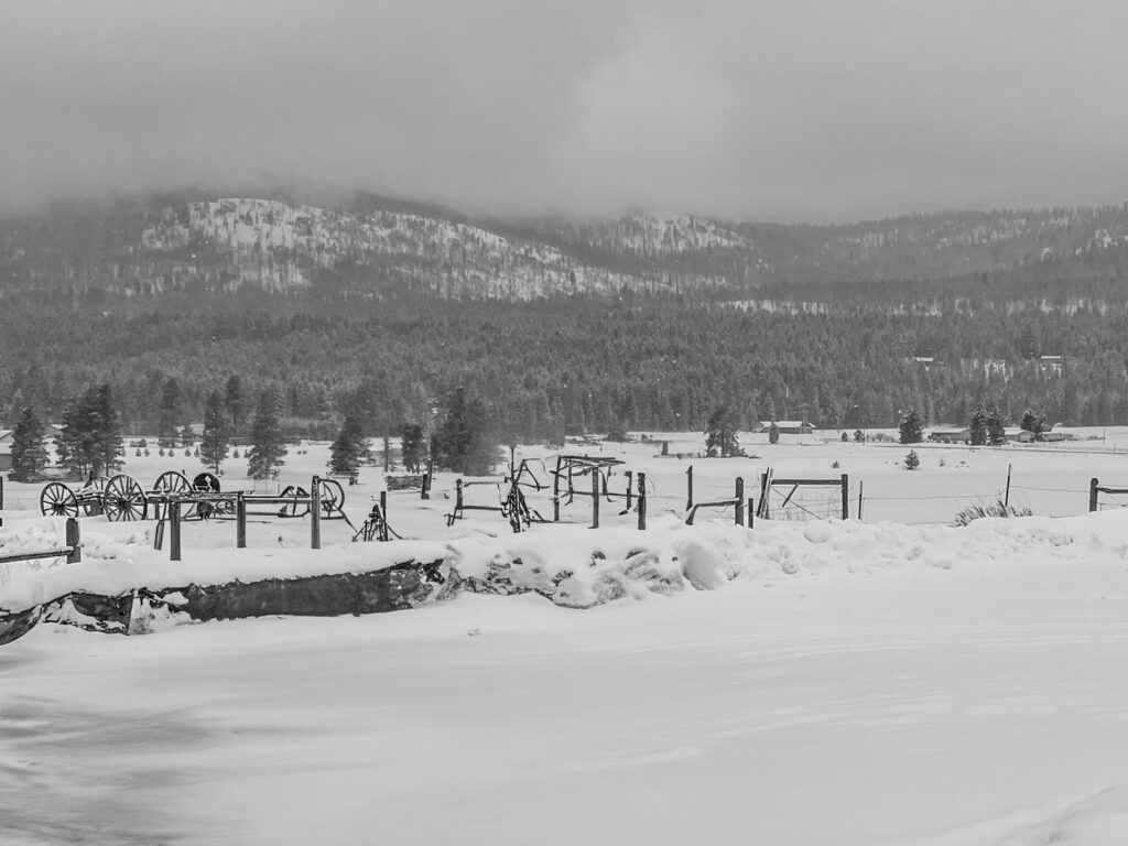 Black and White of snow in Kalispell, Montana