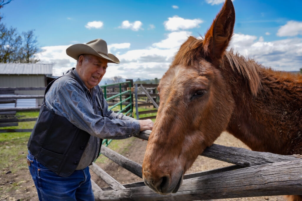 Missoula outfitter "Smoke" Elser with favorite mule